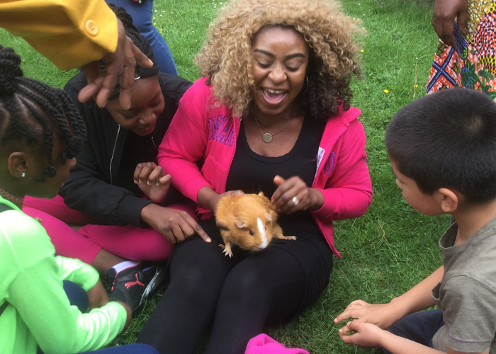 Guinea Pig